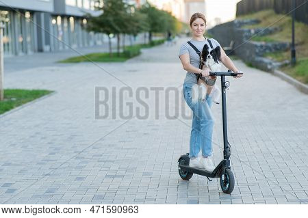A Woman Rides An Electric Scooter With A Dog In A Backpack. Pappilion Spaniel Continental In A Sling