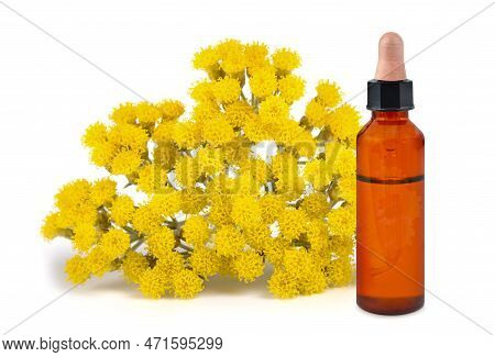 Helichrysum Essence With  Flowers Isolated On White Background