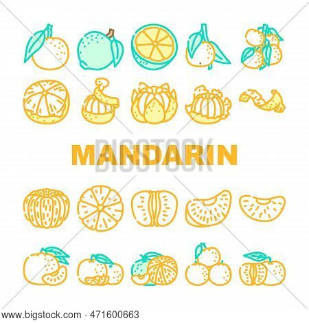 Mandarin Citrus Fruit Icons Set Vector. Orange Food, Tropical Tangerine, Fresh Leaf, Vegetarian Heal