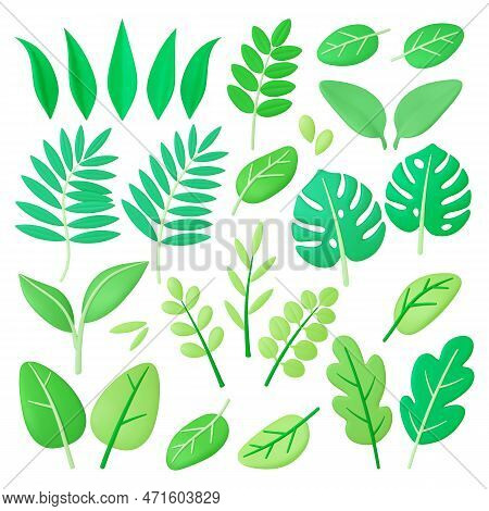Green 3d Foliage, Tropical Leaves Summer Spring Season. Decorative Plants, Leaf Tree And Branch. Exo