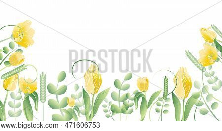 Spring Delicate Tulips And Grass Decor. For Greetings, Frames, Invitations, Backgrounds, Web, Postca