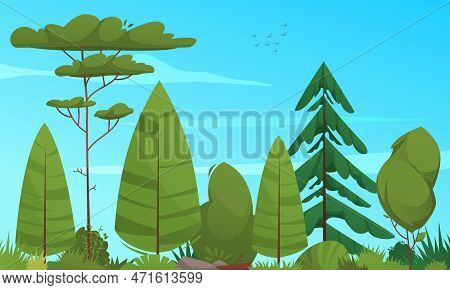 Ecosystem Cartoon Poster With Deciduary Forest Trees Vector Illustration