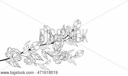 Art & Illustration