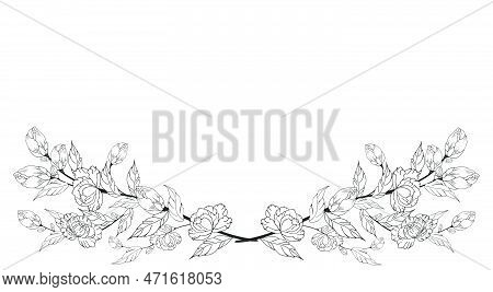 A Beautiful Blooming Branch