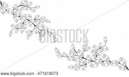A Beautiful Blooming Branch, Richly Decorated With Flowers, Buds, And Leaves. Hand Drawing.