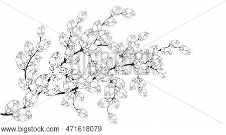 Floral Background, Floral Composition, Floral Background With Tender Flowers And Branches Of Buds. H