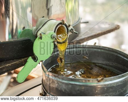 Honey Production And Bees Keeping - Beekeeping Concept