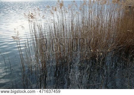 Italy, Trentino Alto Adige: Foreshortening Of Levico Lake.