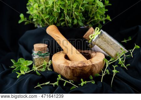 Green Oregano Origanum Vulgar Delicious Kitchen Herbs
