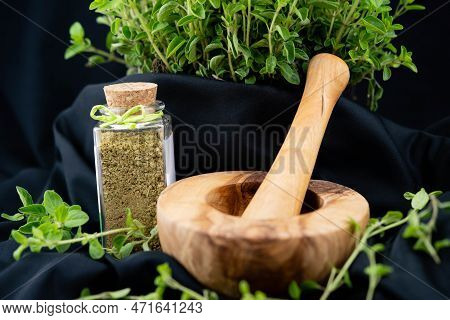 Green Oregano Origanum Vulgar Delicious Kitchen Herbs
