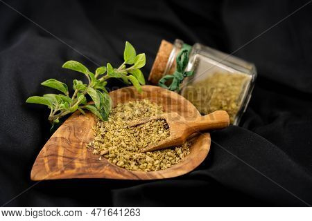 Green Oregano Origanum Vulgar Delicious Kitchen Herbs