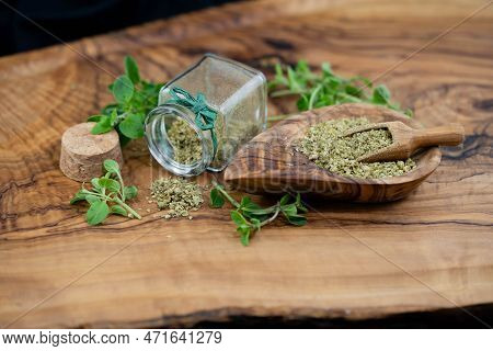Green Oregano Origanum Vulgar Delicious Kitchen Herbs