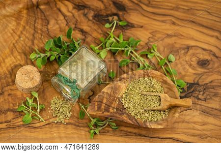 Green Oregano Origanum Vulgar Delicious Kitchen Herbs