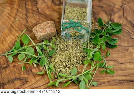 Green Oregano Origanum Vulgar Delicious Kitchen Herbs