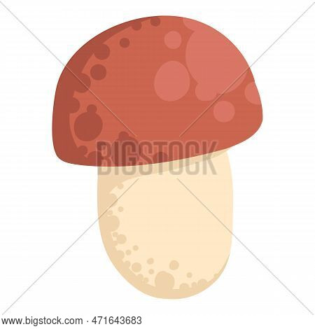 Asian Shiitake Mushroom Or Fungi. Raw Forest Edible Fungus Composition. Natural Organic Vegetarian F