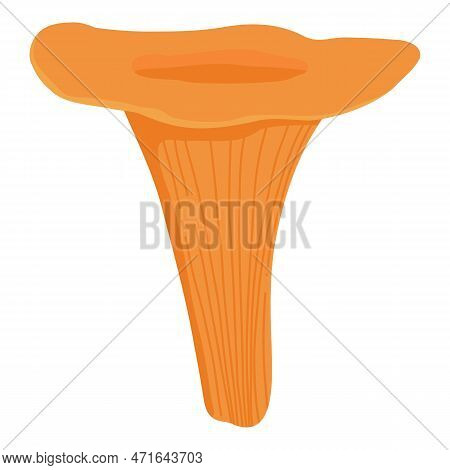 Asian Shiitake Mushroom Or Fungi. Raw Forest Edible Fungus Composition. Natural Organic Vegetarian F