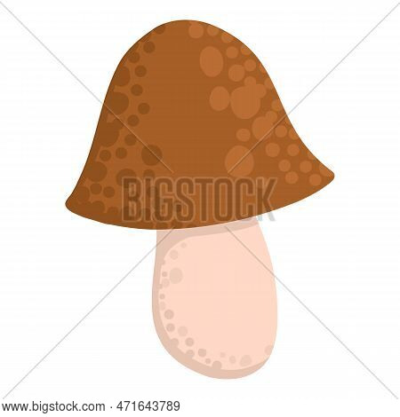 Asian Shiitake Mushroom Or Fungi. Raw Forest Edible Fungus Composition. Natural Organic Vegetarian F