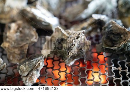 Grilled Fresh Oyster In Taiwan, Famous Street Food.