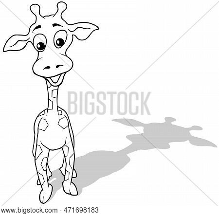 Drawing Of A Funny Standing Giraffe From Front View - Cartoon Illustration Isolated On White Backgro