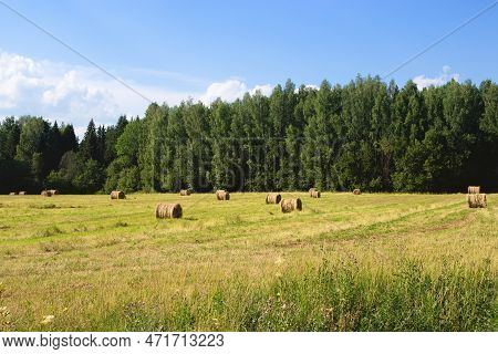 Green Meadow With Hay Bales. Hay Making In Countryside, Scenic Landscape.