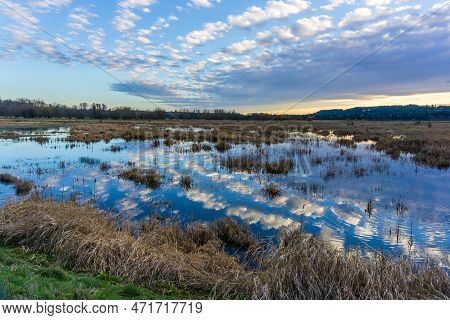 Clouds In The Sky Over The Nisqually Wetalnds Are Reflected In The Water. In Washington State.