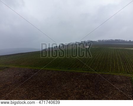Winter View On Val De Livre En Gran Cru Vineyards Of Famous Champagne Houses In Montagne De Reims, C