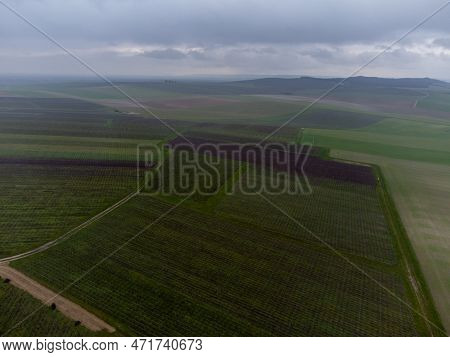 Winter View On Val De Livre En Gran Cru Vineyards Of Famous Champagne Houses In Montagne De Reims, C