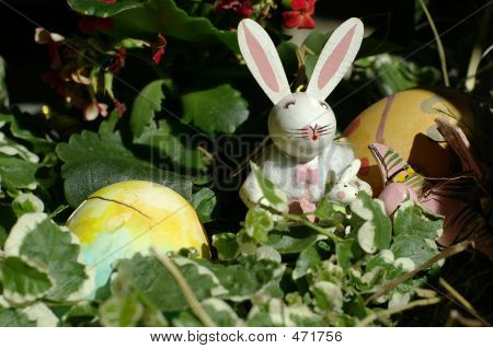 Pasqua nascosta
