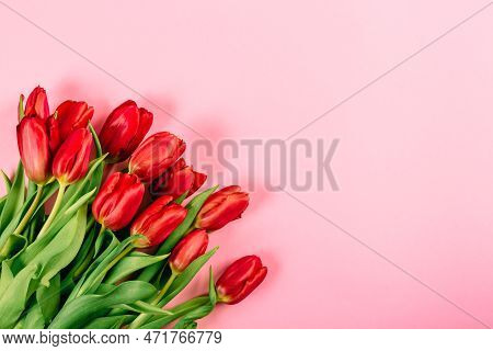 Banner With Lush Red Tulip Bouquet On Pink Background With Copy Space, Text Place. Layout For Flower