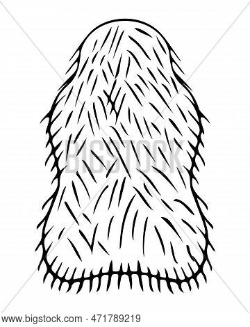 Carpet In The Shape Of A Fur Skin. Sketch. Floor Covering With Artificial Fur. Floor Mat With Fleecy