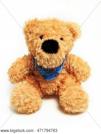 Nice Brown Teddy Bear Sitting On Shite Background