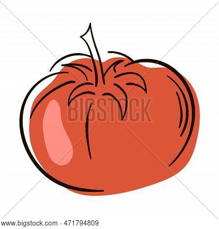 Tomato Line Drawing. Flat Illustration Of Tomato Vector Icon Isolated On White Background.