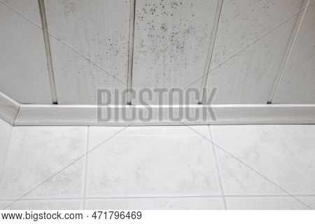 Start Of Mold Build-up On Bathroom Ceiling, Still With Simple Cleaning Solution. Ceiling Molding In 