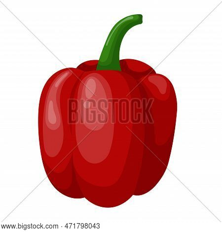 Bulgarian Pepper Isolated On A White Background. Sweet Red Pepper, Bell Pepper. Vector Illustration 