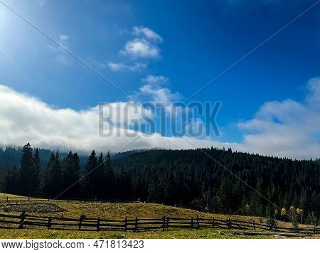 Beautiful View Of The Forest Through The Wooden Fence