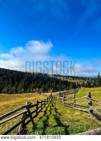 Beautiful View Of The Forest Through The Wooden Fence