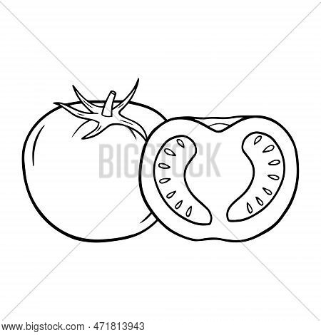 Illustration Of A Half Tomato In A Hand Drawn Style.