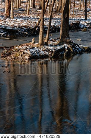 Hammel Creek Flows Through A Winter Forest And Around A Tiny Island In The Creek, Hammel Woods Fores
