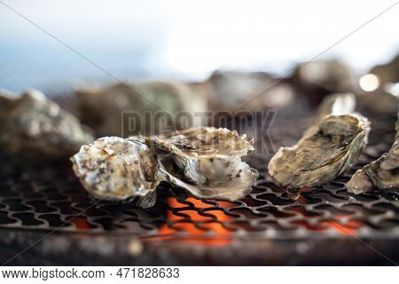 Grilled Fresh Oyster In Taiwan, Famous Street Food.