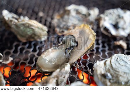 Grilled Fresh Oyster In Taiwan, Famous Street Food.
