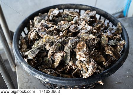 Grilled Fresh Oyster In Taiwan, Famous Street Food.