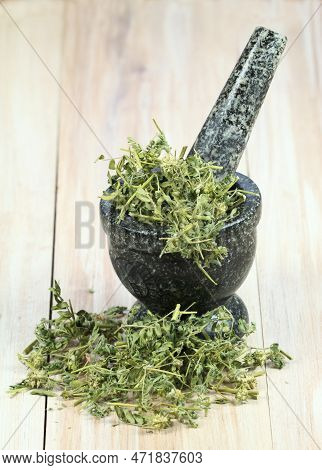 Dried Tribulus Terrestris In The Mortar. Curative Herb Tribulus Terrestris And  Its Seeds Called Dev