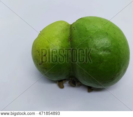 Close Up View Of A Twin Guva Fruit Isolated In White Background