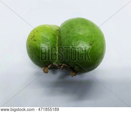 Close Up View Of A Twin Guva Fruit Isolated In White Background