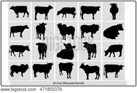 Cow Silhouette,vector Farm Animals Silhouettes,silhouette Of A Cow. Cattle. Circuit. Farm. Bull