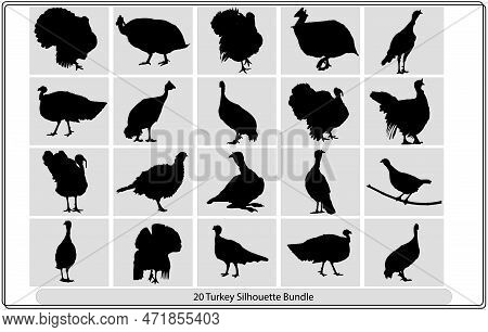 Turkey Silhouette,vector Turkey Silhouettes,vector Drawing Silhouettes Of Male And Female Turkeys,