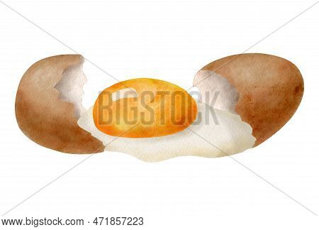 Watercolor Broken Egg Illustration. Hand Drawn Brown Eggshells With Yolk And Glair Isolated On White