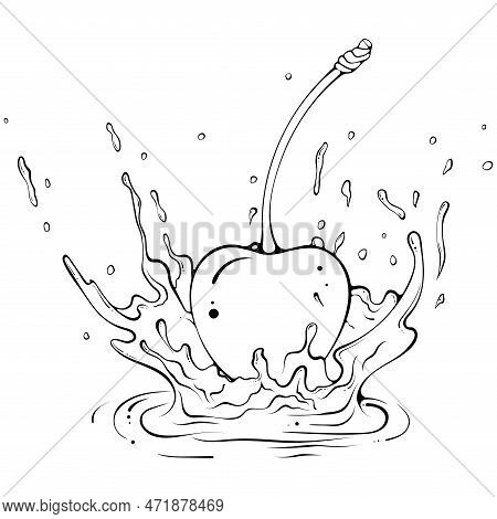Whole Cherry With Juice Or Water Splash. Liquid Drops. Vector Illustration In Hand Drawn Sketch Dood