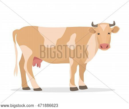 Cow Icon Isolated On White Backfround. Dairy Cattle. Farm Animal. Vector Flat Or Cartoon Illustratio