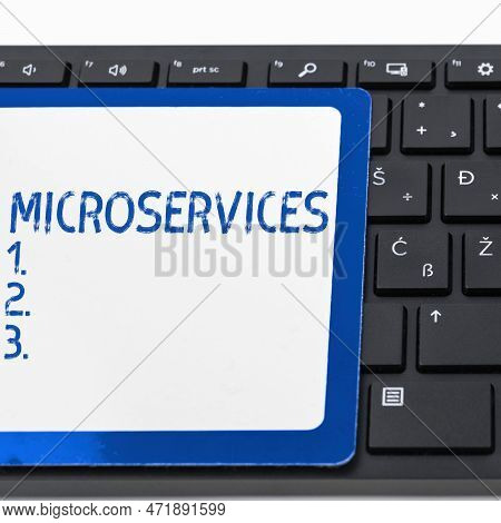 Text Sign Showing Microservices. Business Concept Software Development Technique Building Single Fun